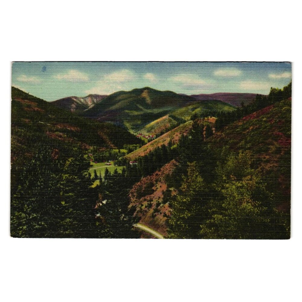 Vintage Postcard Red River City Red River Pass New Mexico Scenic Mountains Art